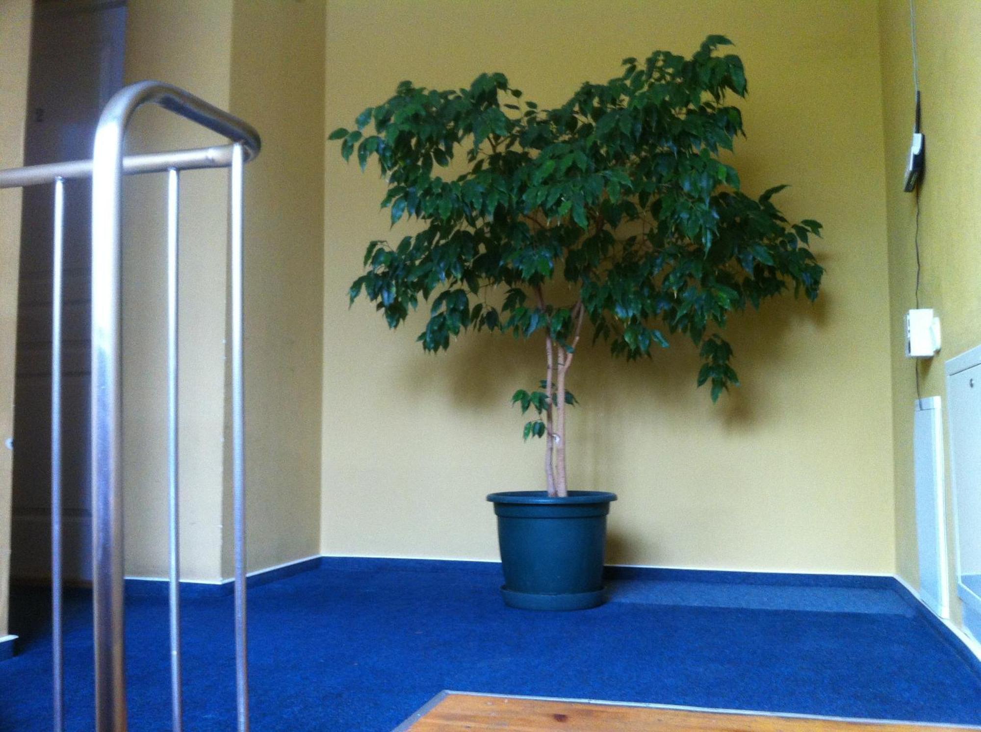 Info Hotel Apartments Palanga Dış mekan fotoğraf